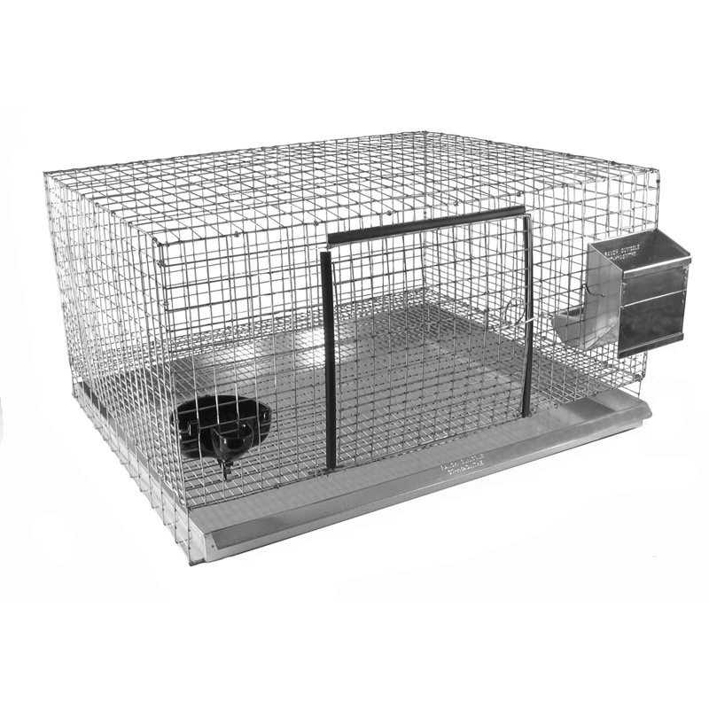 Cages with wire mesh sides