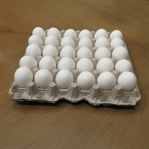 30 Holes Egg Filler Flats