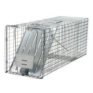 Raccoons trap