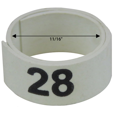 11 / 16" White plastic bandette (Number 26 to 50)