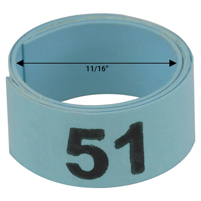 Bague bleue numérotée de 11 / 16" (Numéro 51 à 75)
