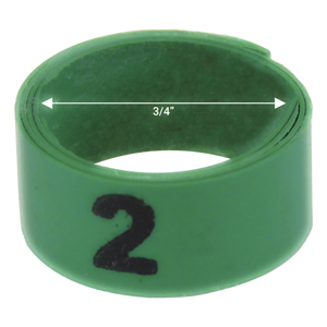 Bague verte numérotée de 3 / 4" (Numéro 1 à 25)