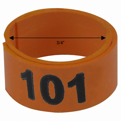 Bague orange numérotée de 3 / 4" (Numéro 101 à 125)