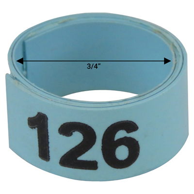 Bague bleue numérotée de 3 / 4" (Numéro 126 à 150)