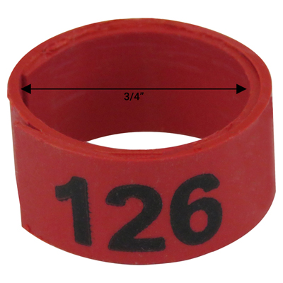 Bague rouge numérotée de 3 / 4" (Numéro 126 à 150)