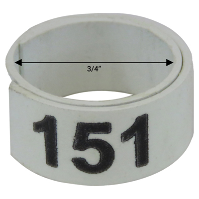 3 / 4" White plastic bandette (Number 151 to 175)