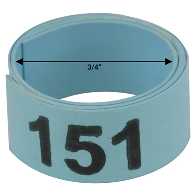 Bague bleue numérotée de 3 / 4" (Numéro 151 à 175)