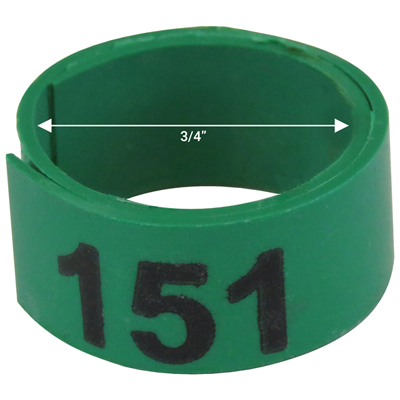 Bague verte numérotée de 3 / 4" (Numéro 151 à 175)
