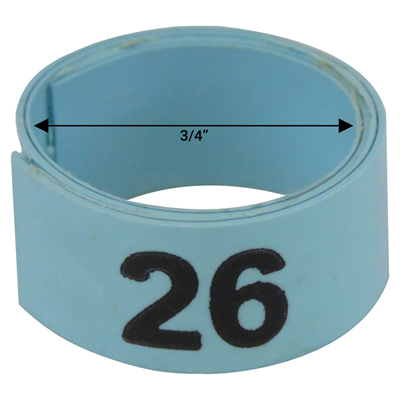 Bague bleue numérotée de 3 / 4" (Numéro 26 à 50)