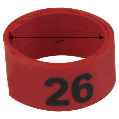 3 / 4" Red plastic bandette (Number 26 to 50)