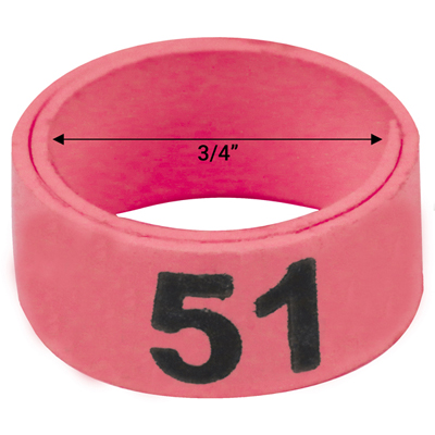 3 / 4" Pink plastic bandette (Number 51 to 75)