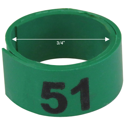 Bague verte numérotée de 3 / 4" (Numéro 51 à 75)