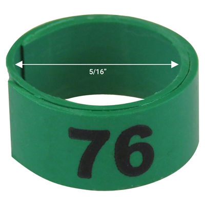 5 / 16" Green plastic bandette (Number 76 to 100)