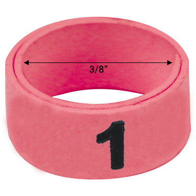 3 / 8" Pink plastic bandette (Number 1 to 25)