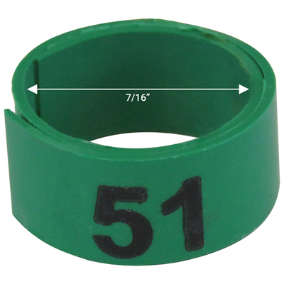 7 / 16" Green plastic bandette (Number 51 to 75)